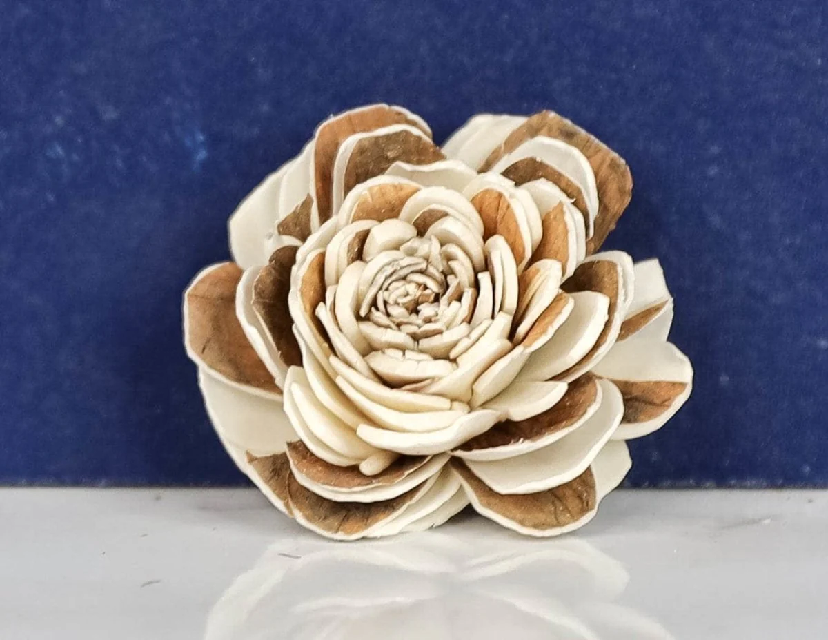 1.5" Chocolate Kiss (10 pack) - Image 2