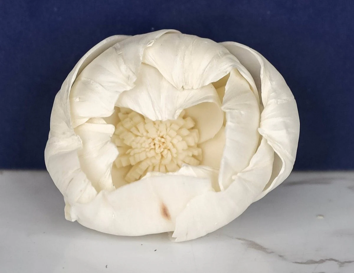 2" Athena (200 Pack) - Image 2