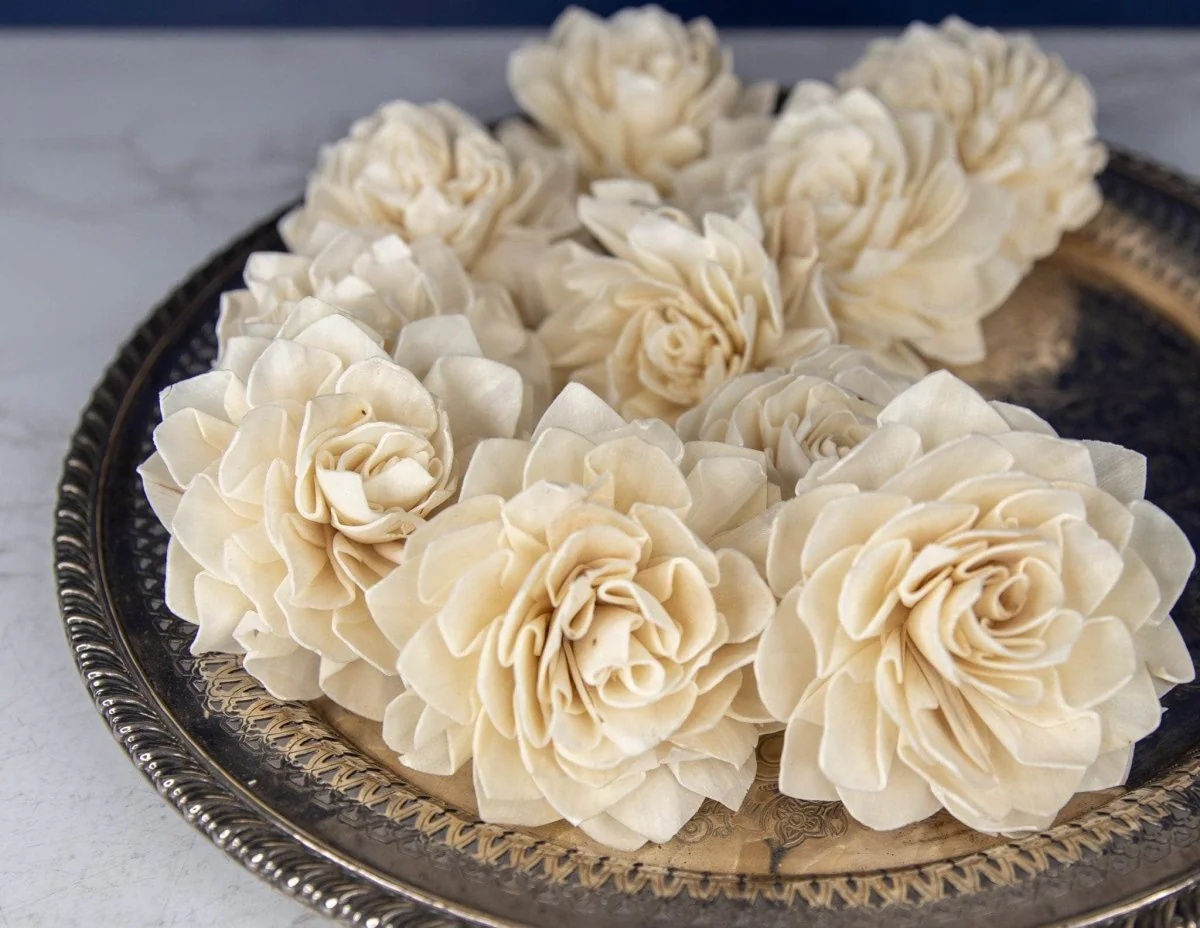 2" Dahlia (1000 Flower Box) - Image 3