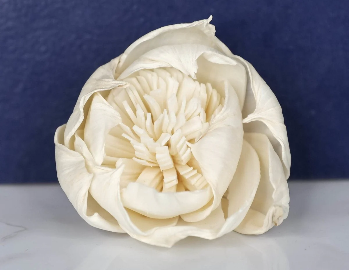2" Fresia (10 Pack) - Image 2