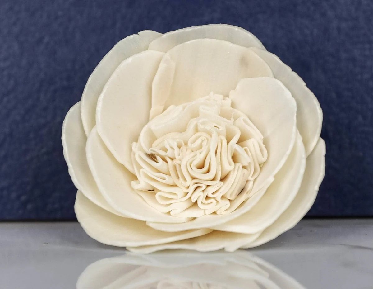 2" Garden Rose (10 Pack) - Image 2