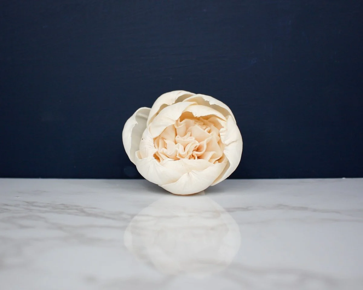 2" Lady Banks Rose Buds (200 Pack) - Image 2