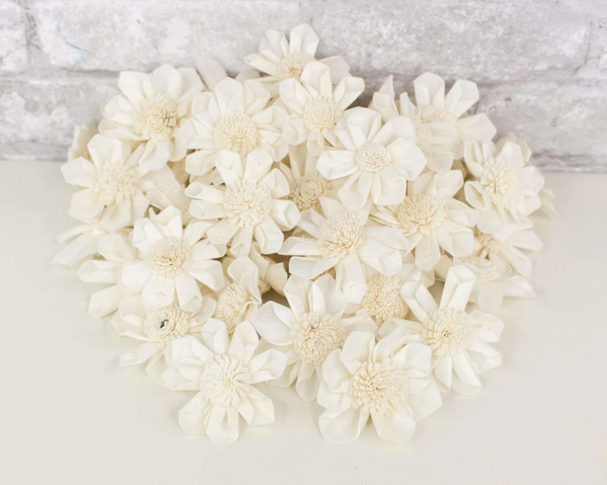 2" Maria - 50 Pack - Image 4