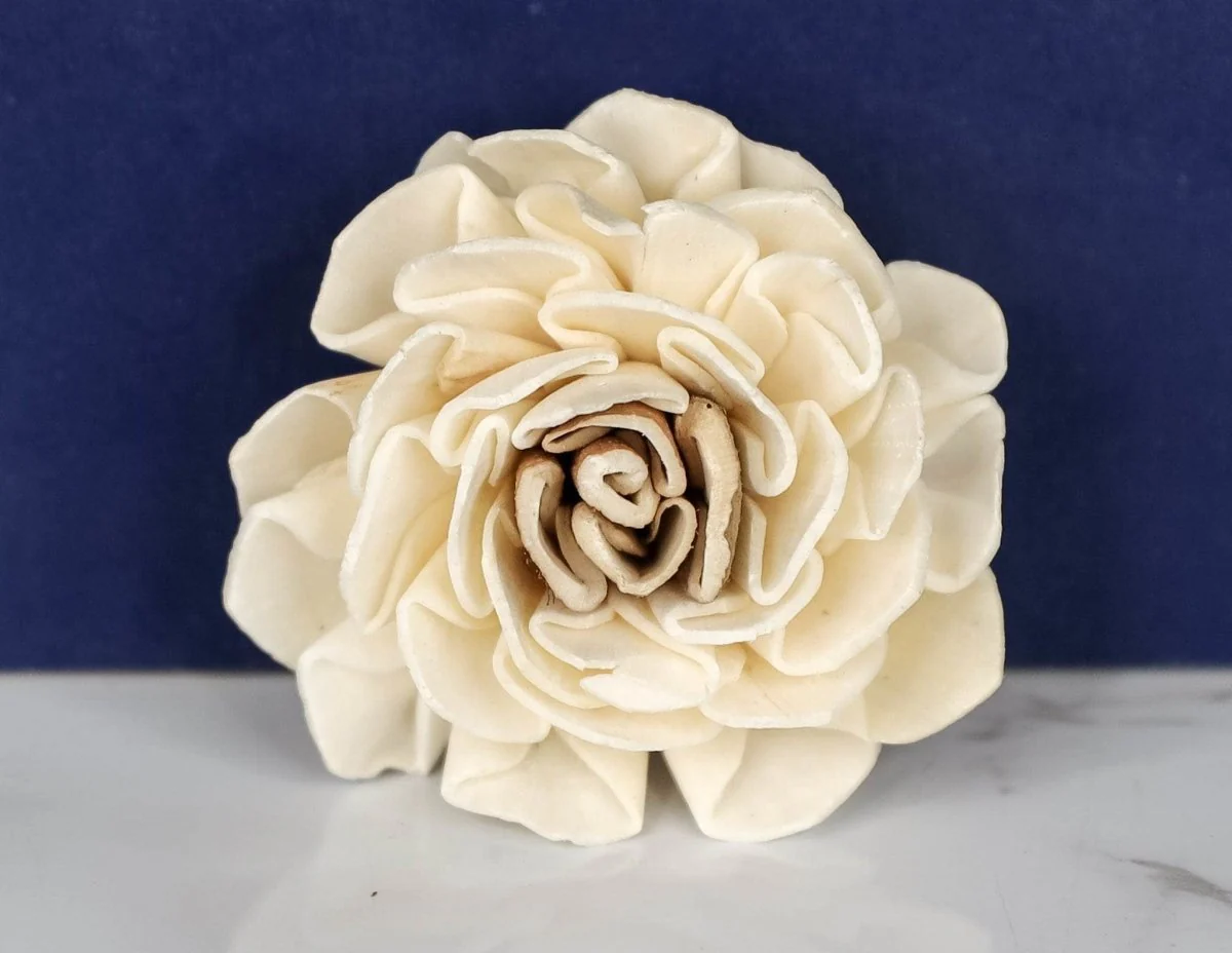 2" Starla (200 Pack) - Image 2