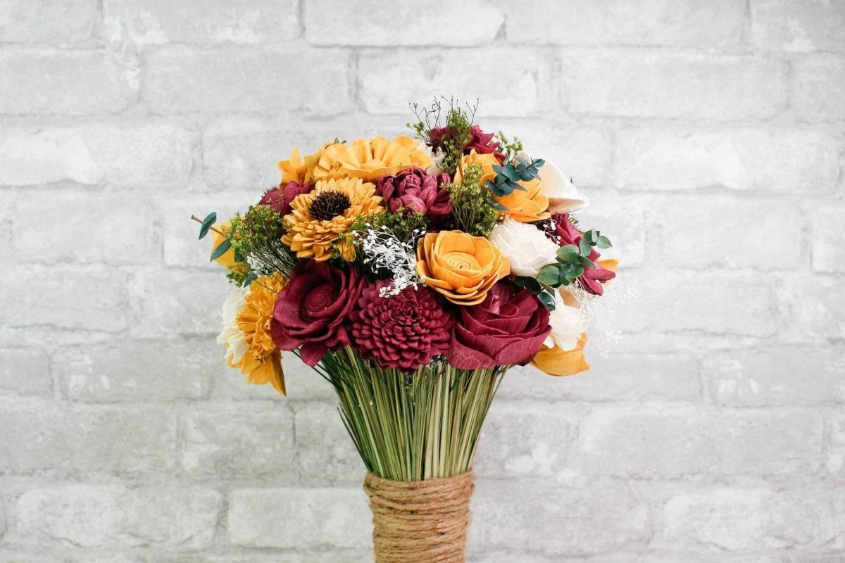 2" Sun Zinnia (10 pack) - Image 7