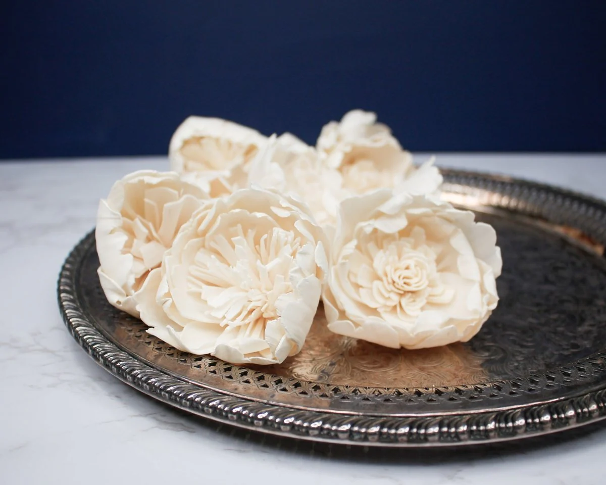 3" Bowl Of Beauty Peony (10 Pack)