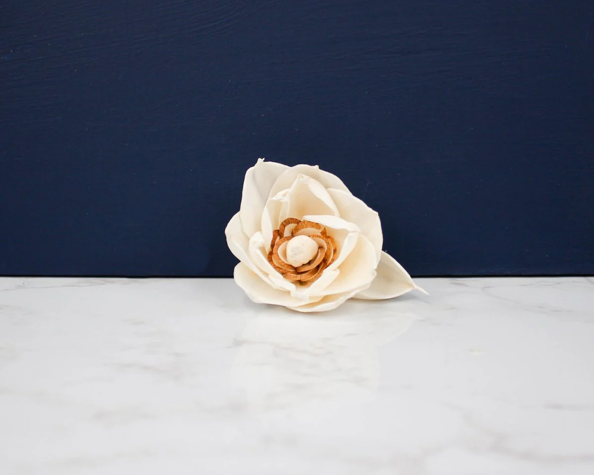 3" Gail (10 Pack) - Image 2