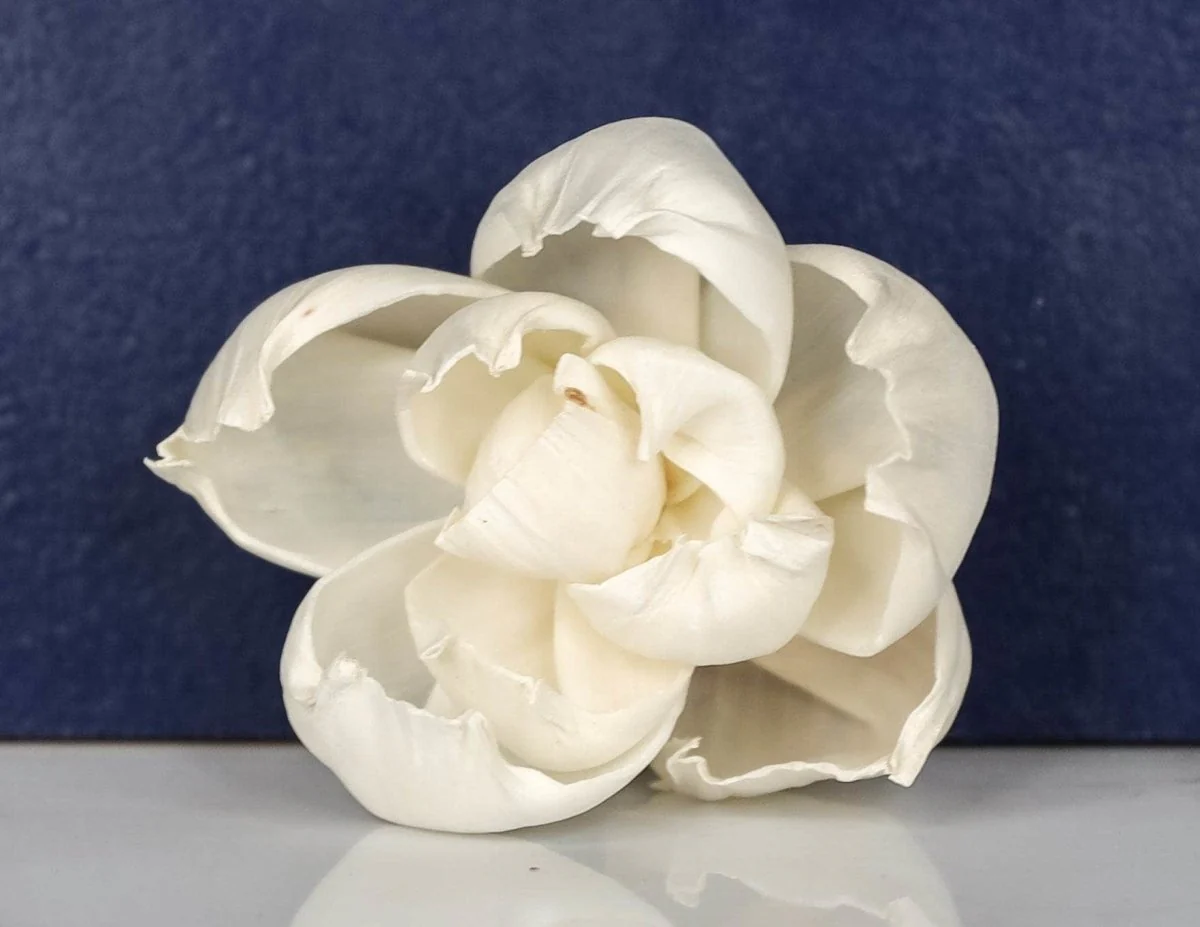 3" Lola (10 Pack) - Image 2