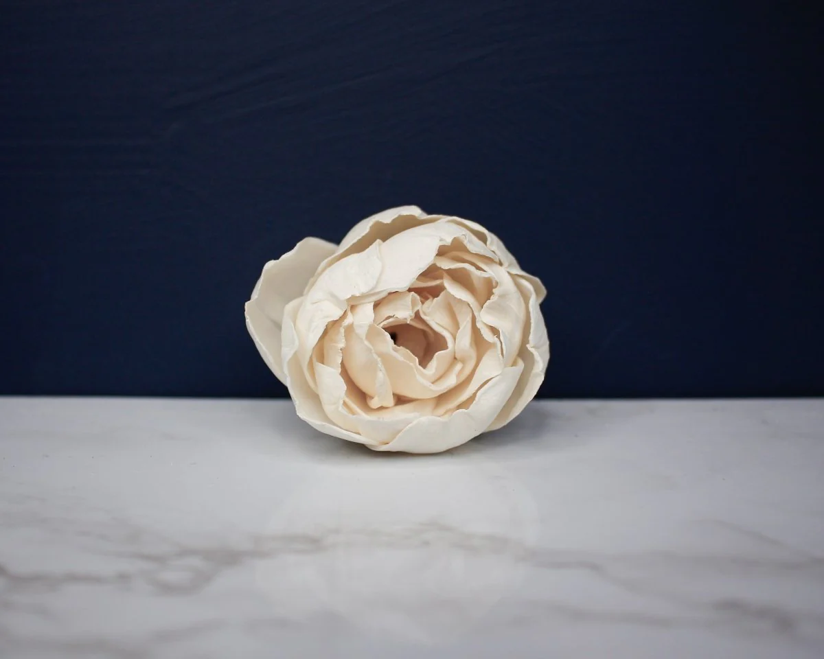 3" Sorbet Peony (10 Pack) - Image 3