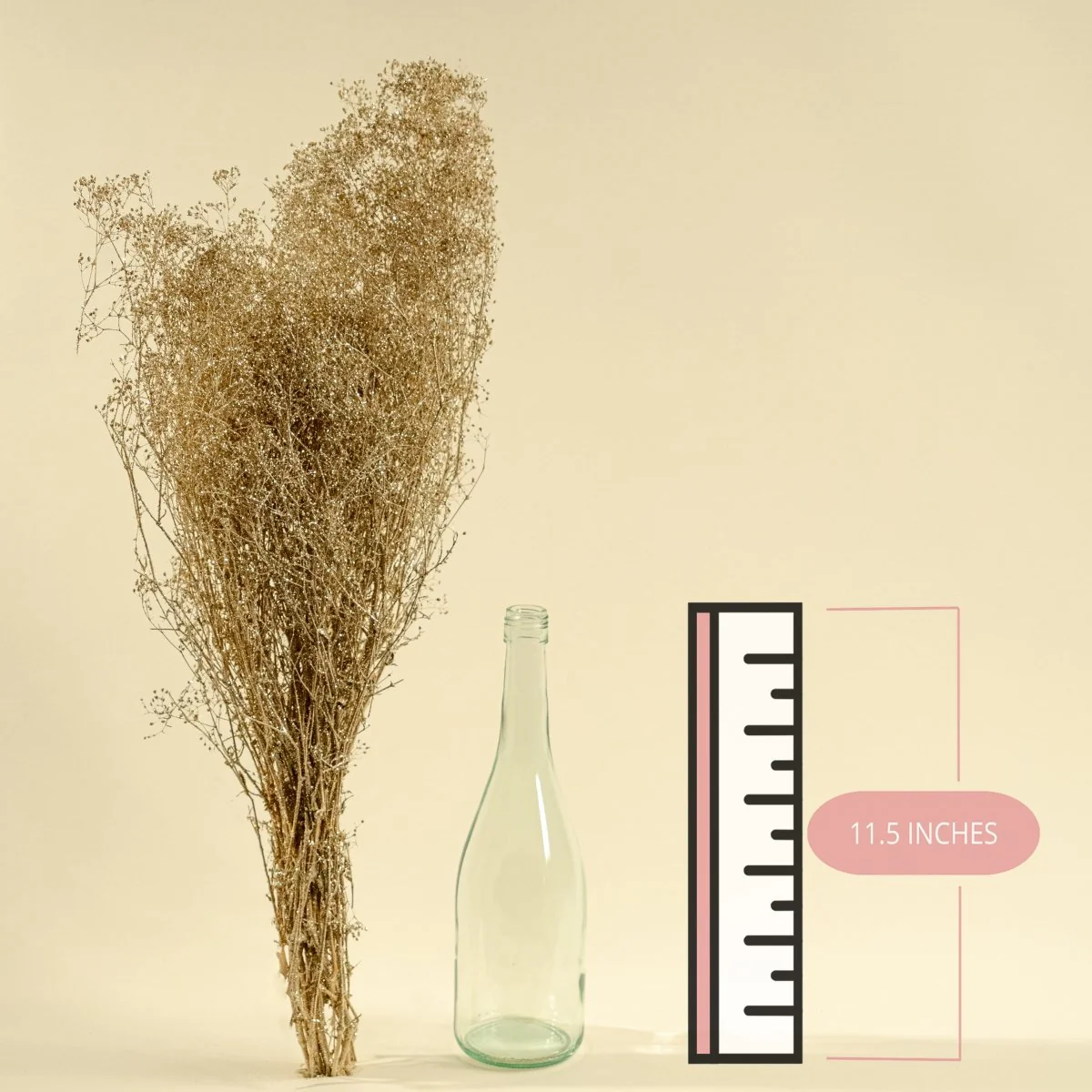Baby's Breath (Champagne) - Image 2