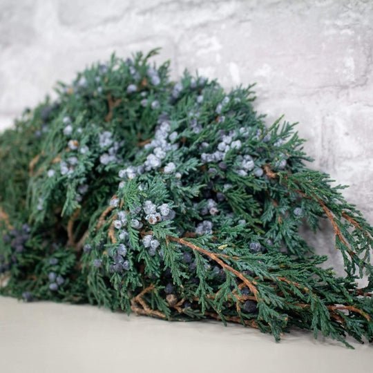 Blueberry Juniper 1/5