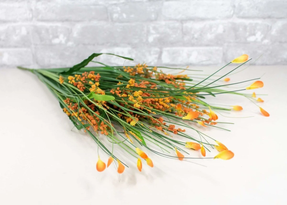 Heather Bush - Orange Petals