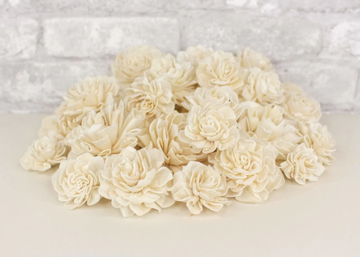 Dahlia Variety Pack